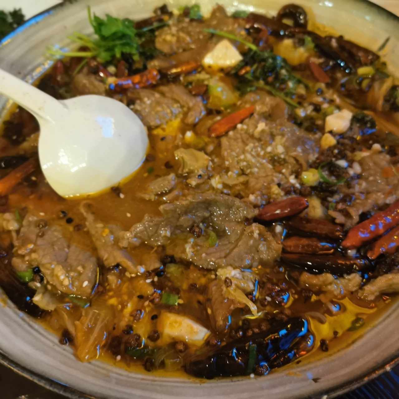 Carne Sichuan estilo caldo 🌶️😋👍💯