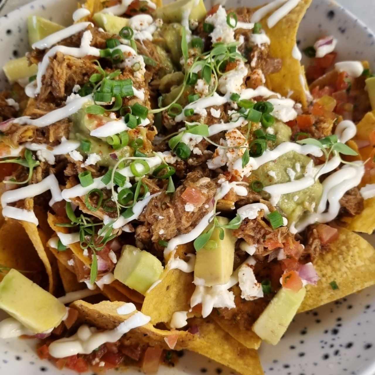 Nachos Tex Mex