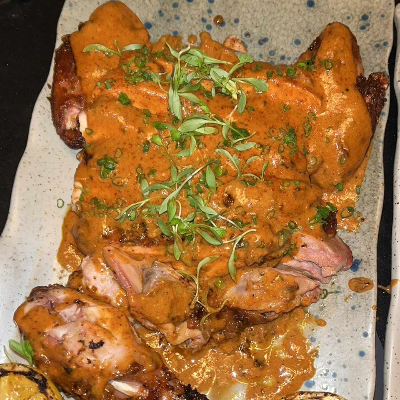 Robata Tierra - Tandori Chicken
