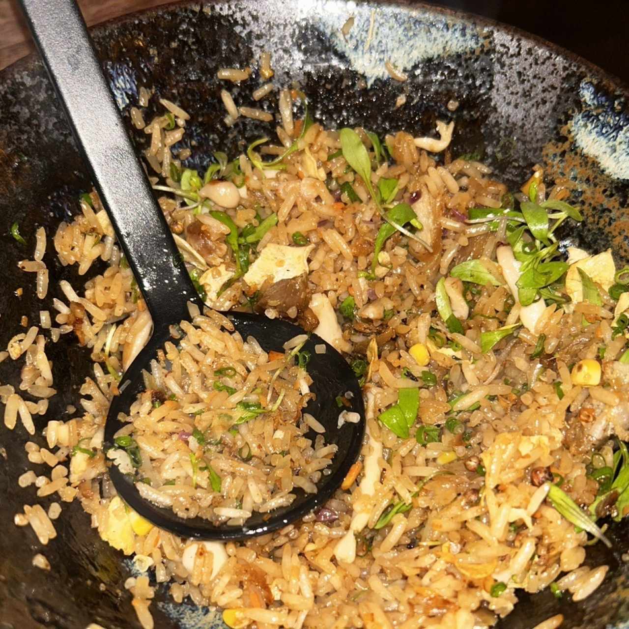 Wok Duck Fried Rice