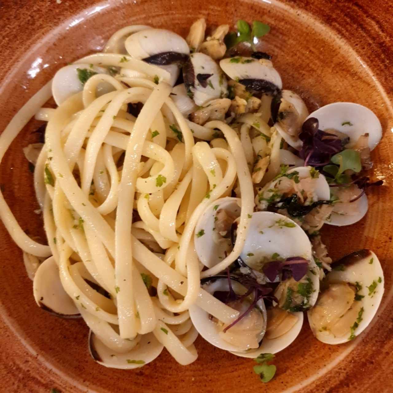 Fetuccini Vongole e Bottarga