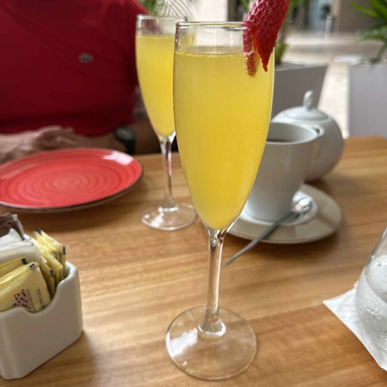 Mimosa