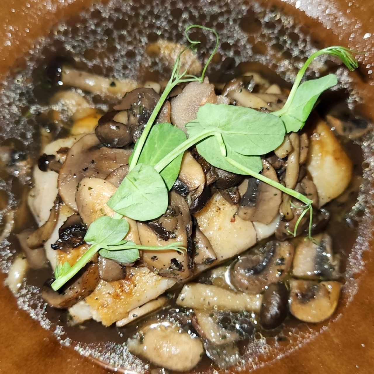 Corvina en réduction de champignon Truffée