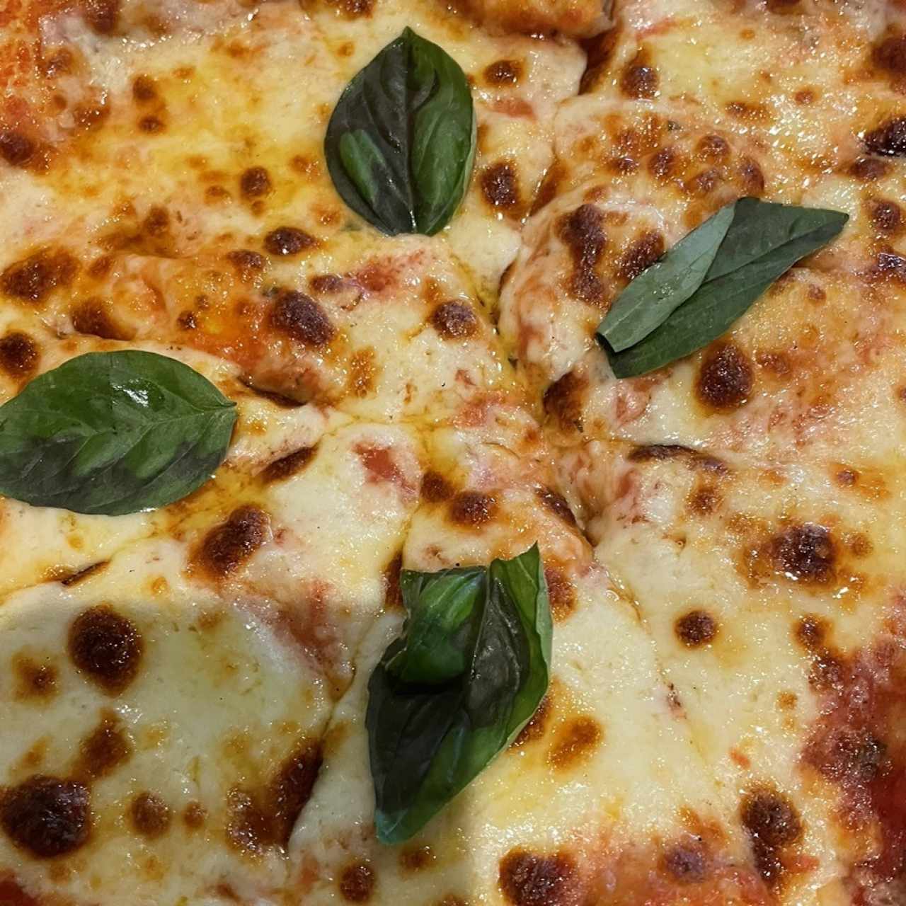 Pizzas - Regina Margherita