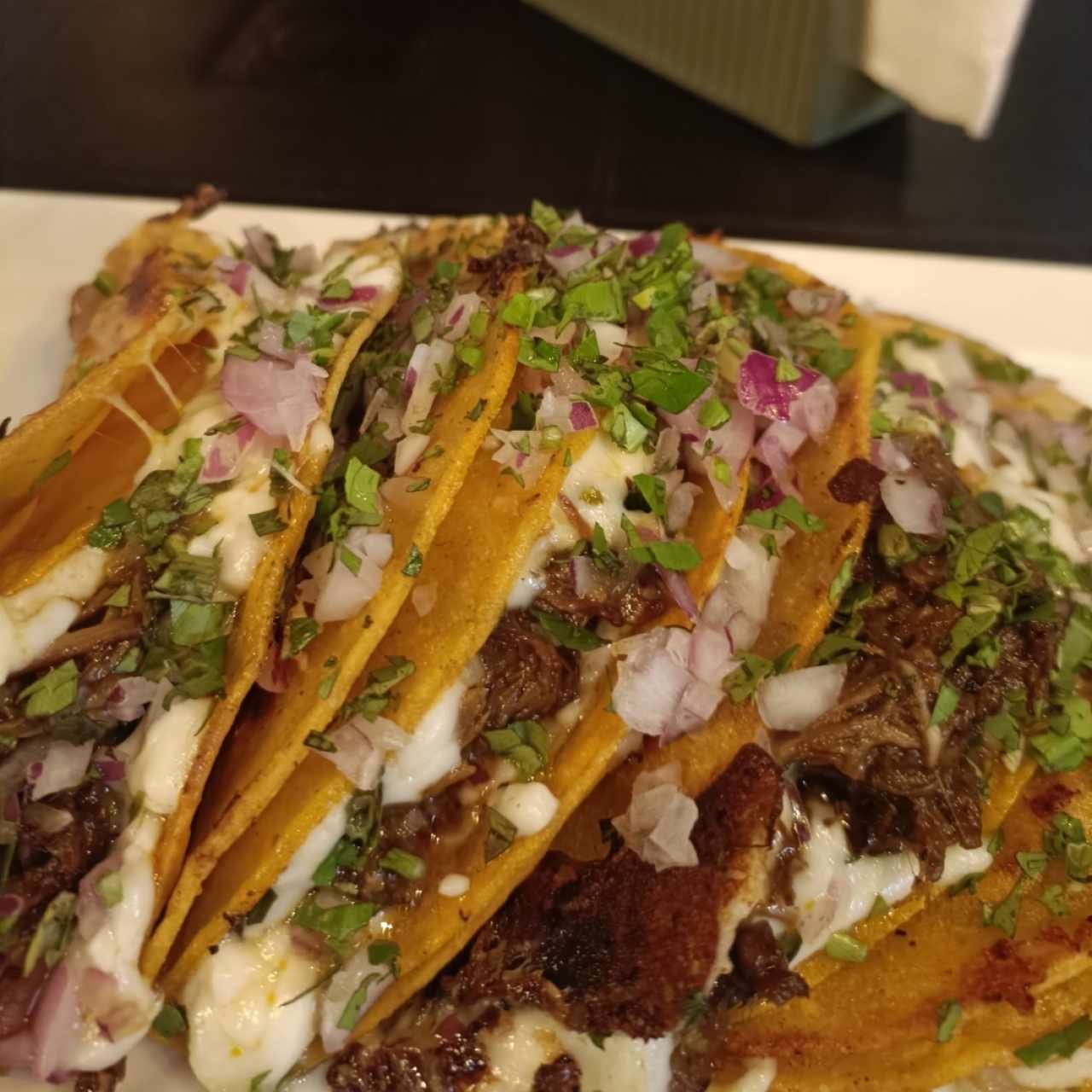 tacos birria 