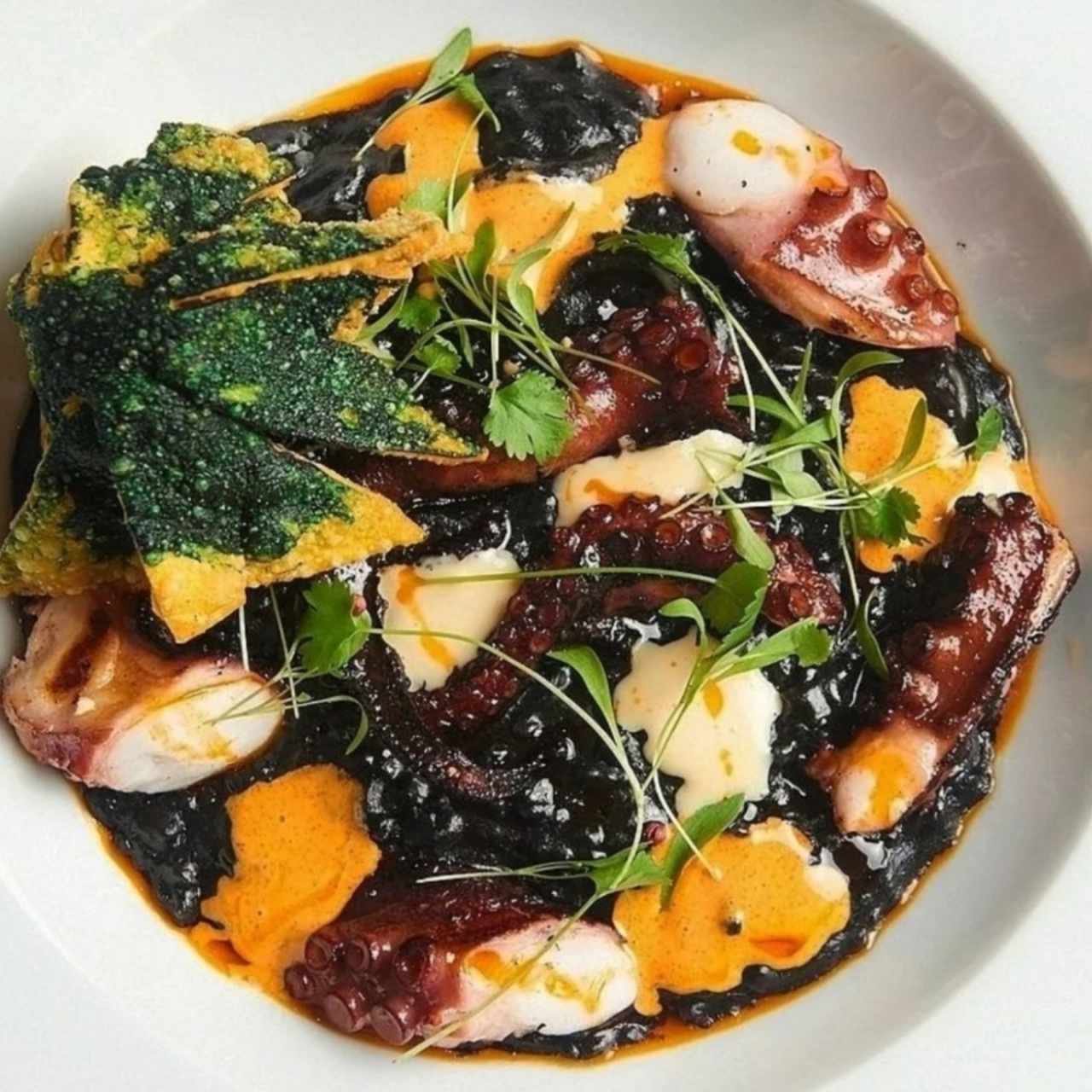 arroz meloso con tinta de calamar y pulpo a la brasa 