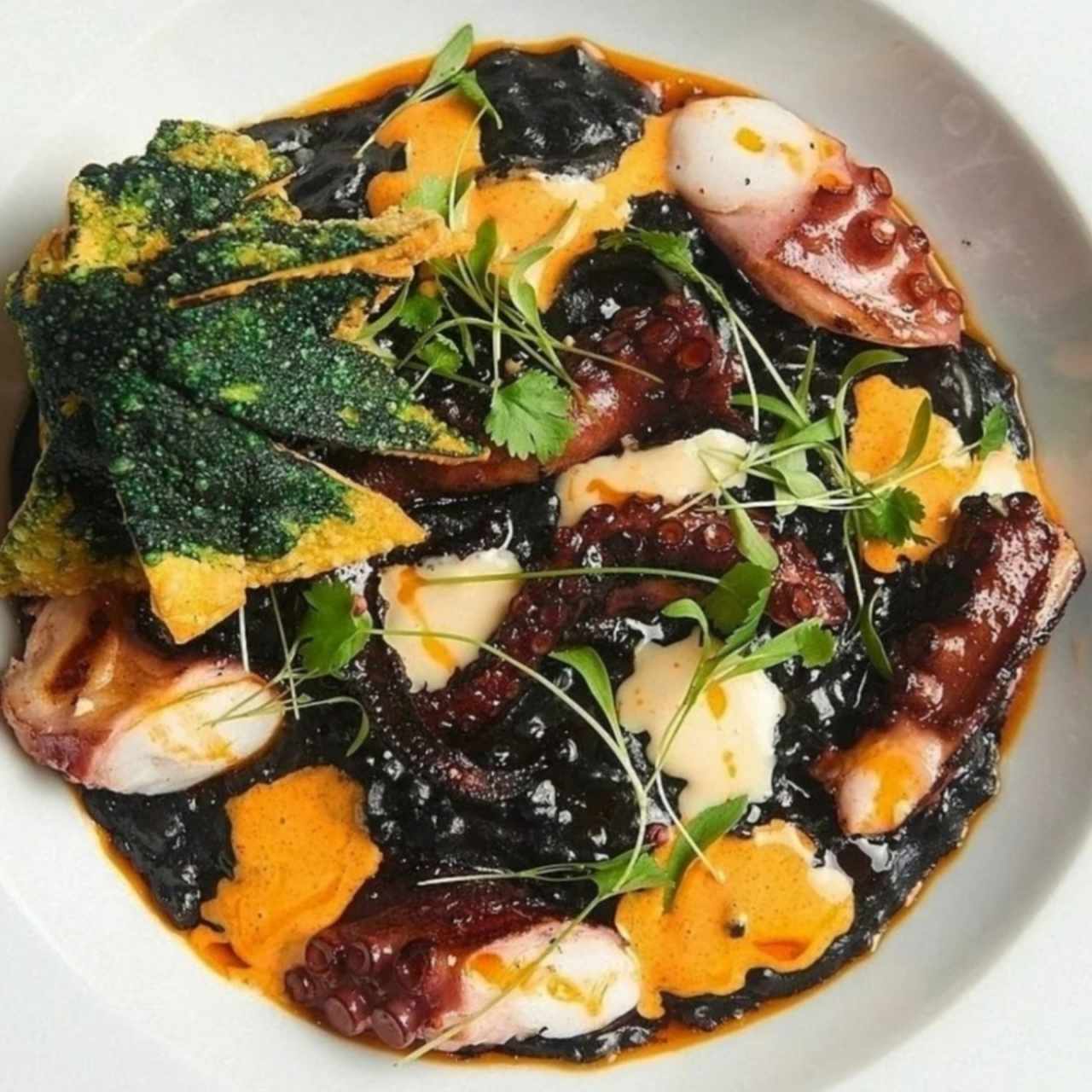 arroz meloso con tinta de calamar y pulpo a la brasa 