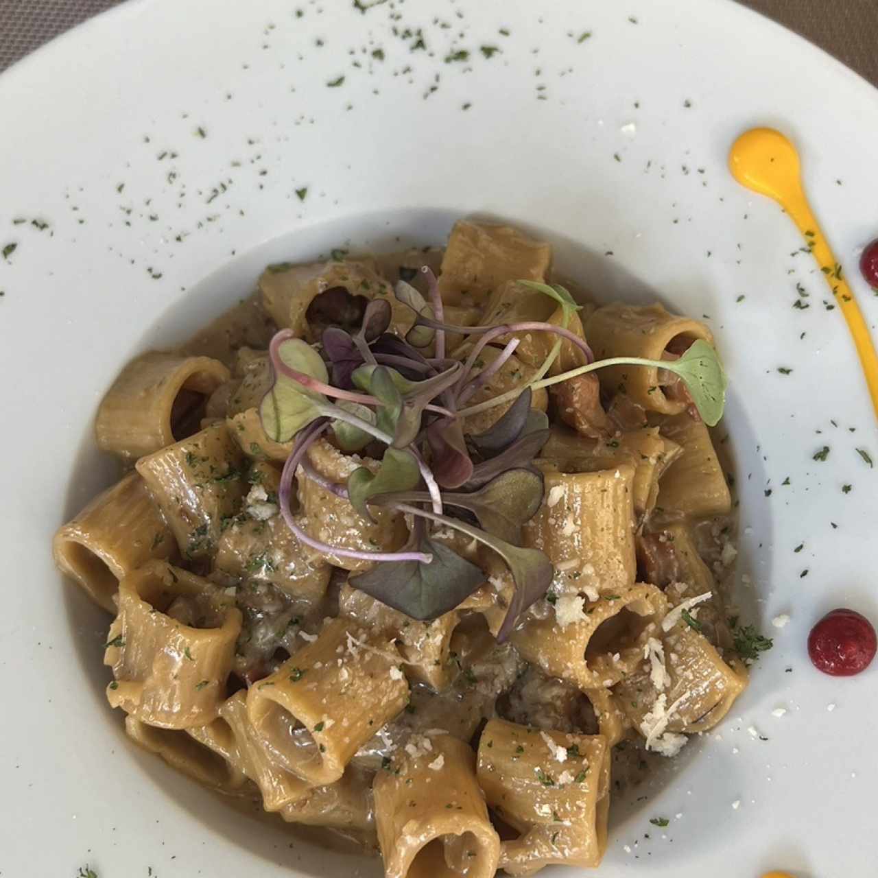 Pastas - Pasta Porcini