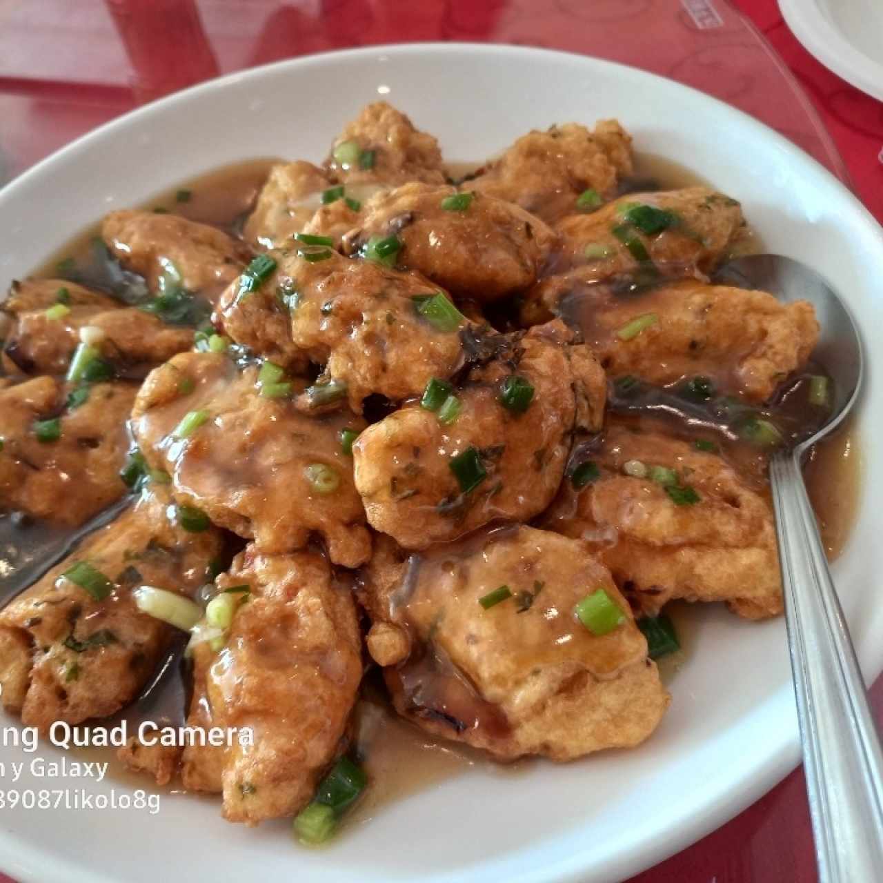 peipa tofu relleno pescado