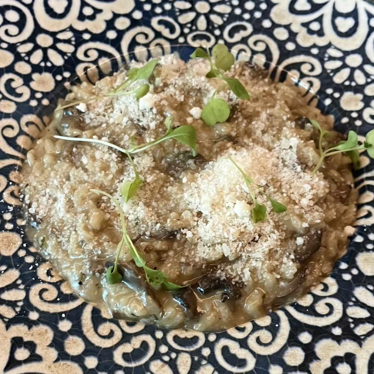 Risotto ai Due Funghi