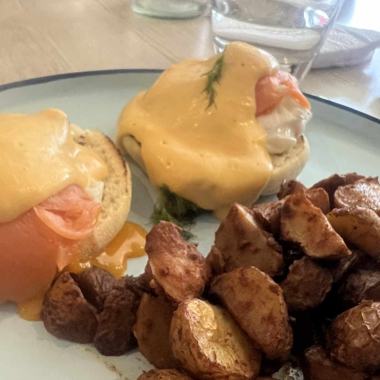 Salty - Benedictino Salmón