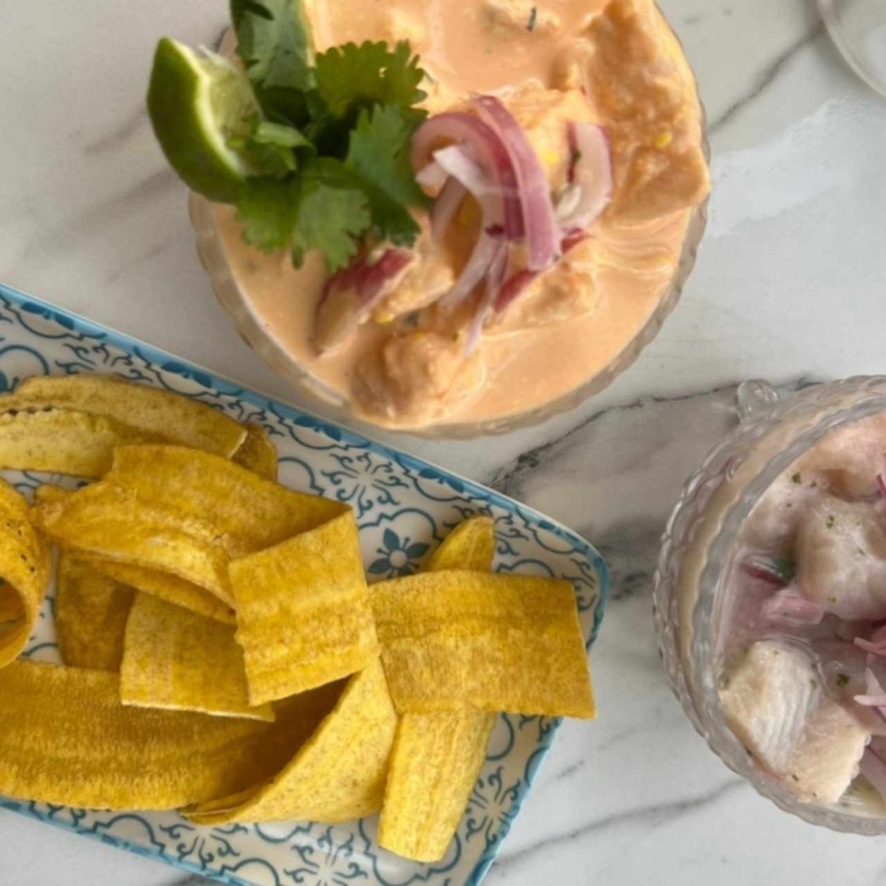 Ceviches 