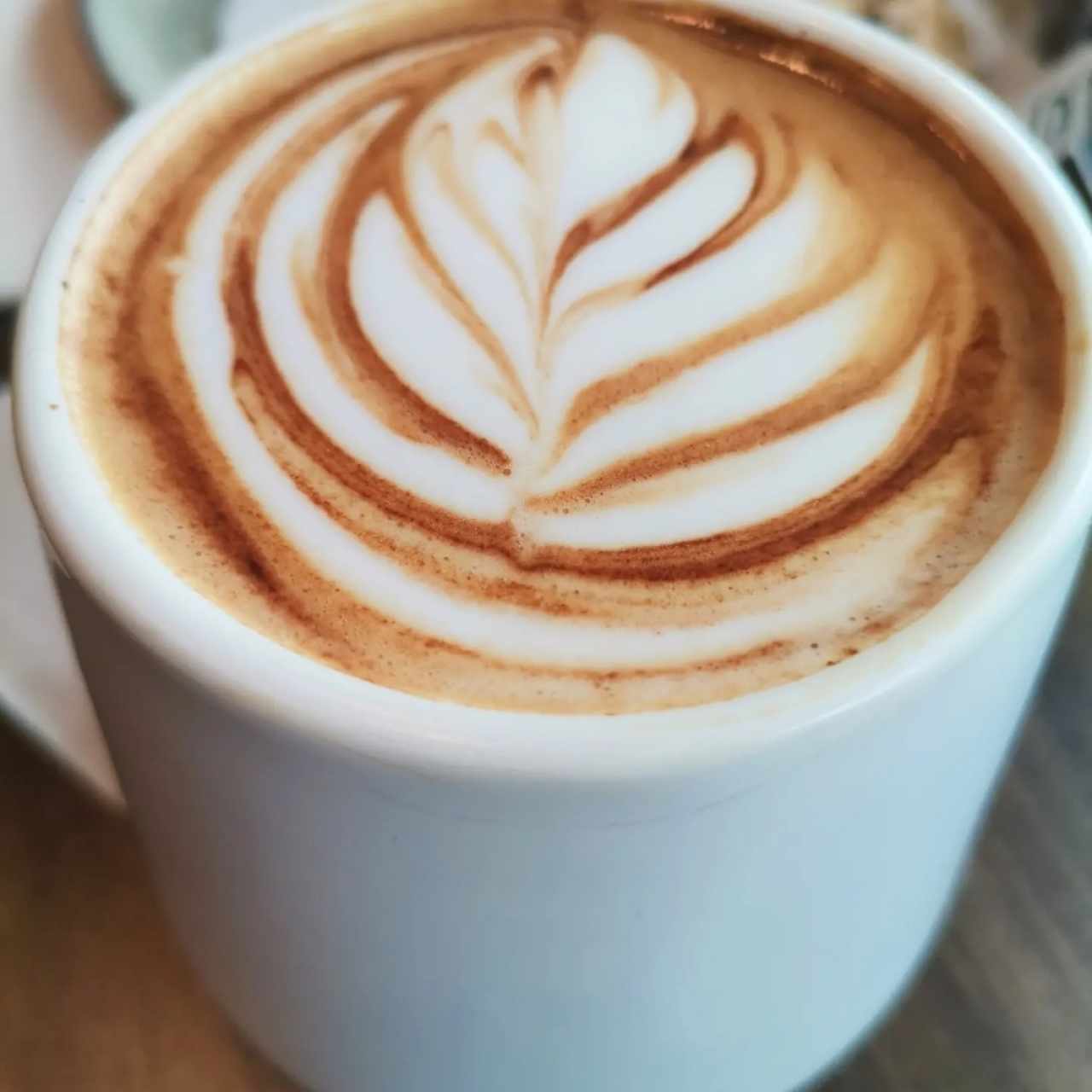 Mocaccino 