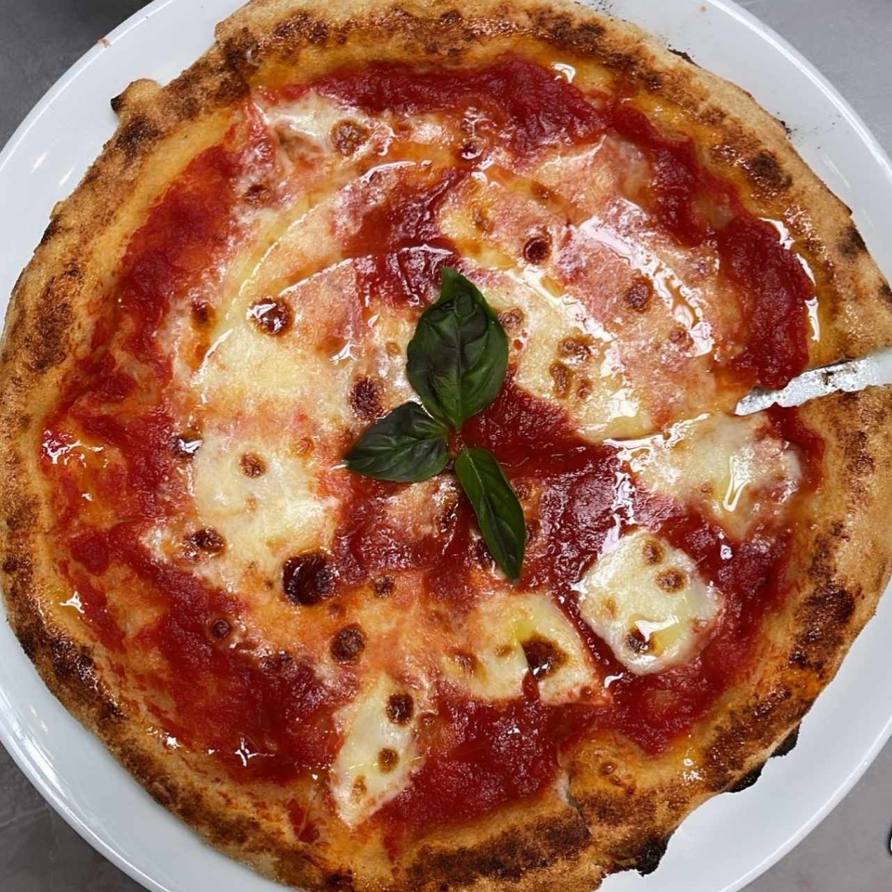 Pizza Margarita - Rosso 