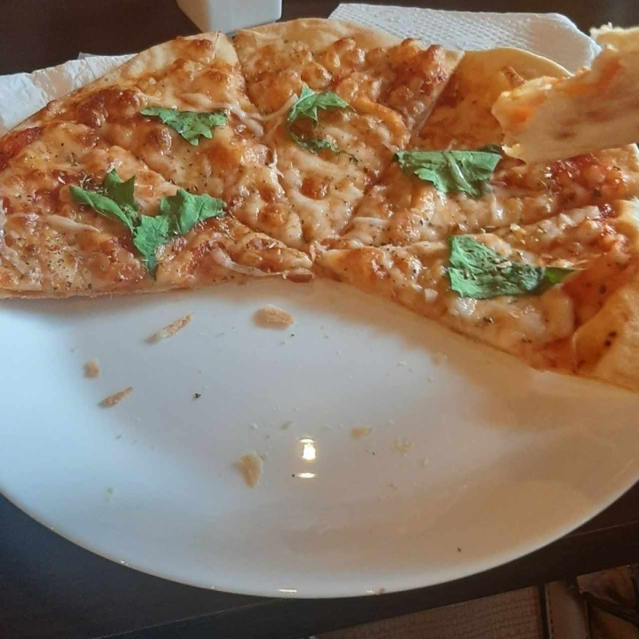 Pizza margarita