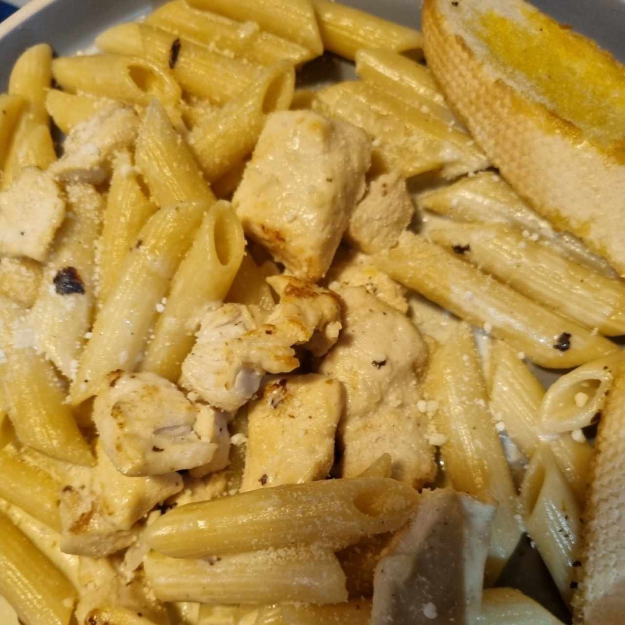 Penne Alfredo con pollo