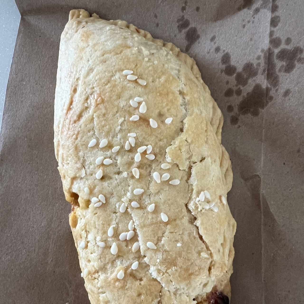 Empanada de pollo