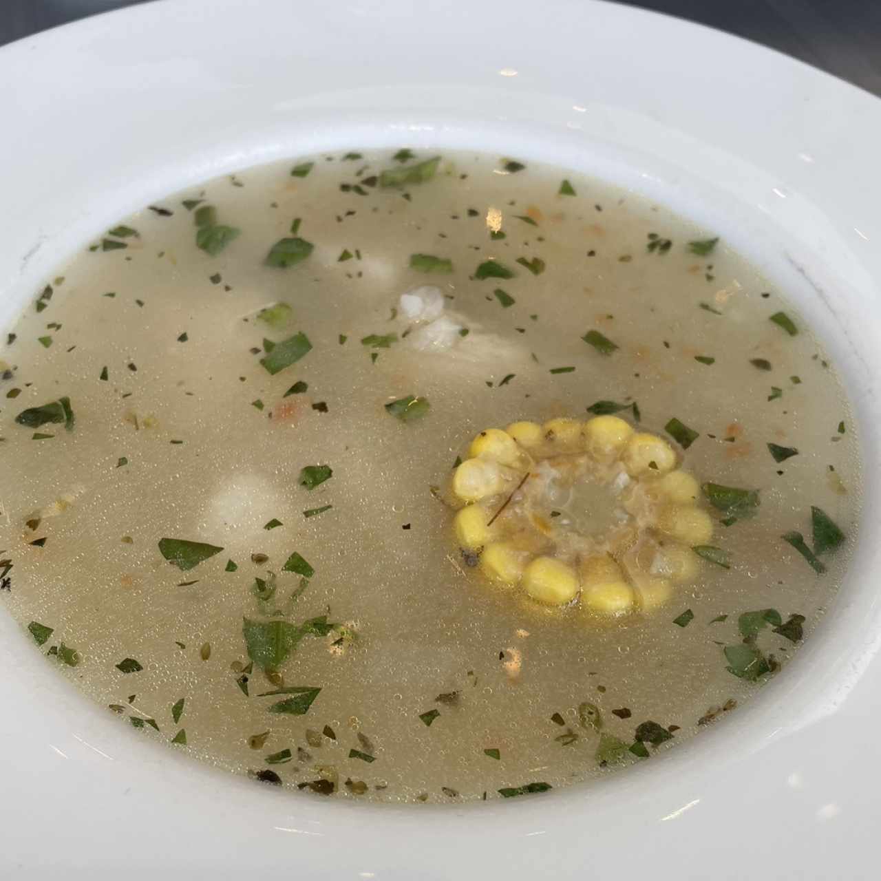 Sopas - Sancocho Panameño