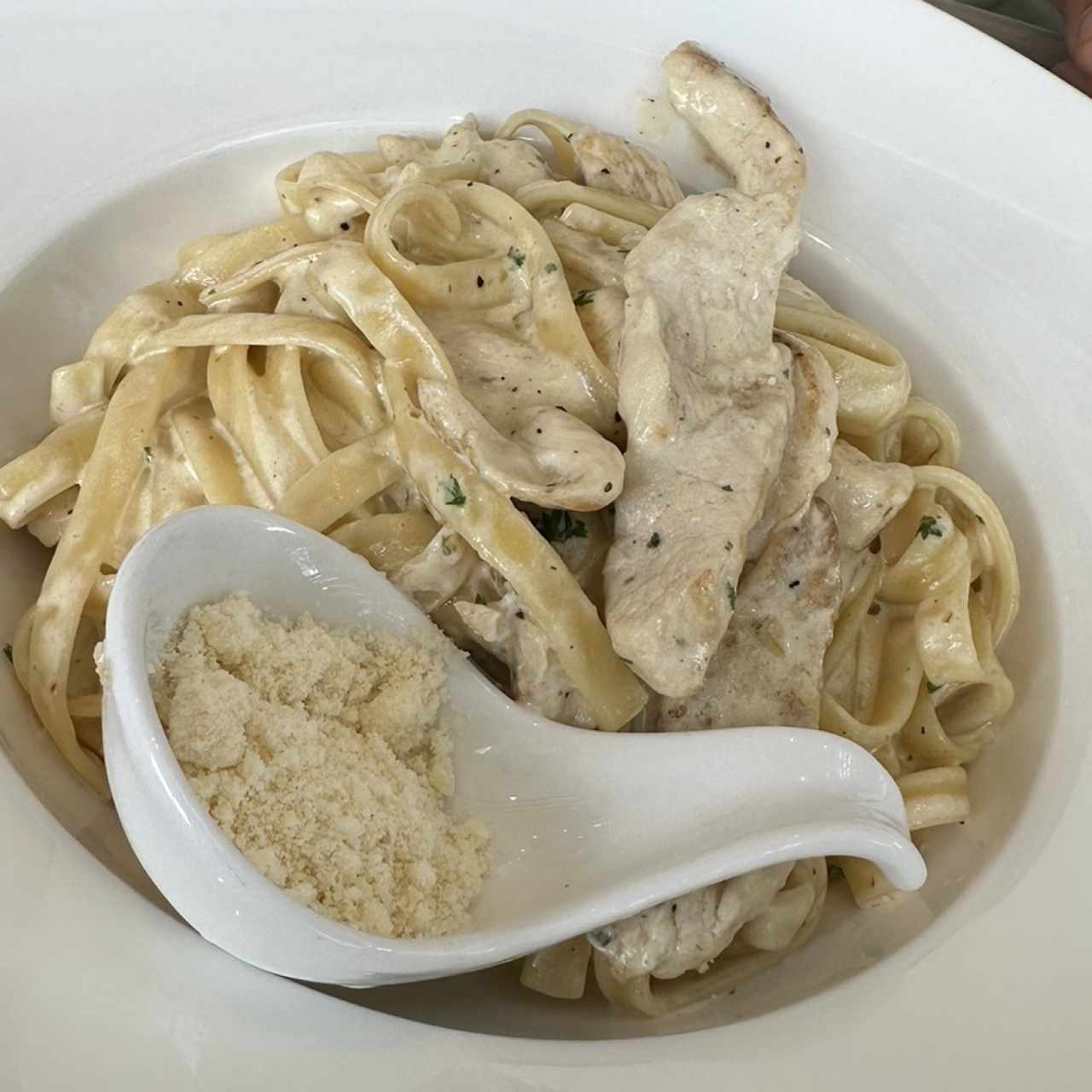 Pastas - Alfredo Con Pollo