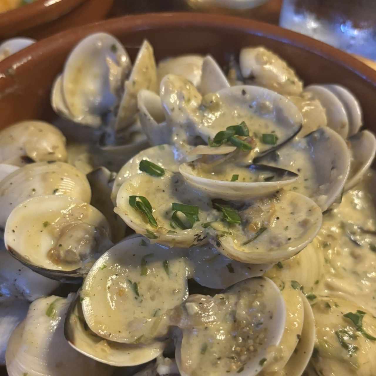 Almejas en Salsa blanca al vino