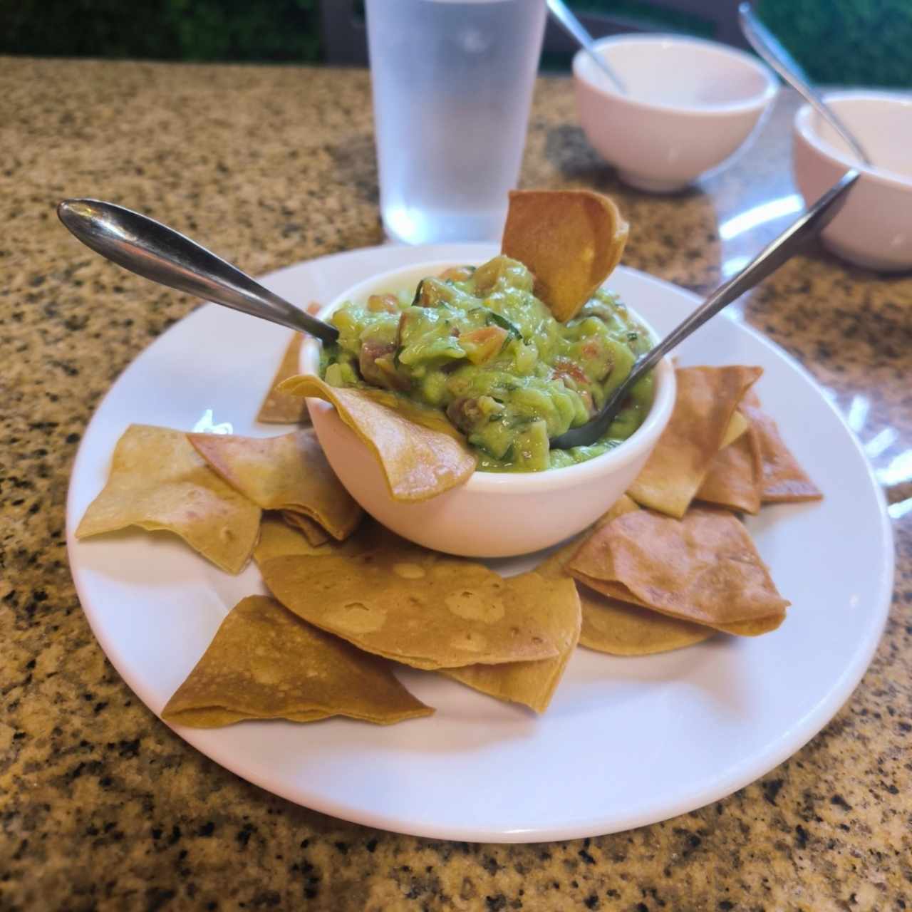 Entradas - Guacamole