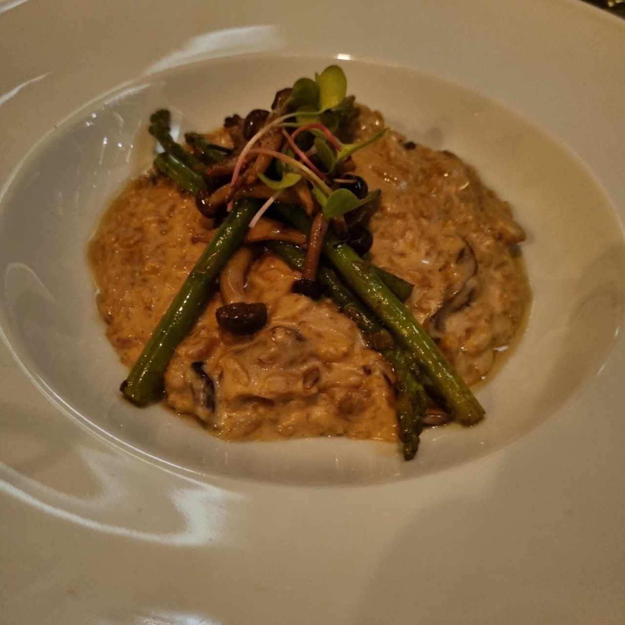 Bunappi Mushroom Risotto