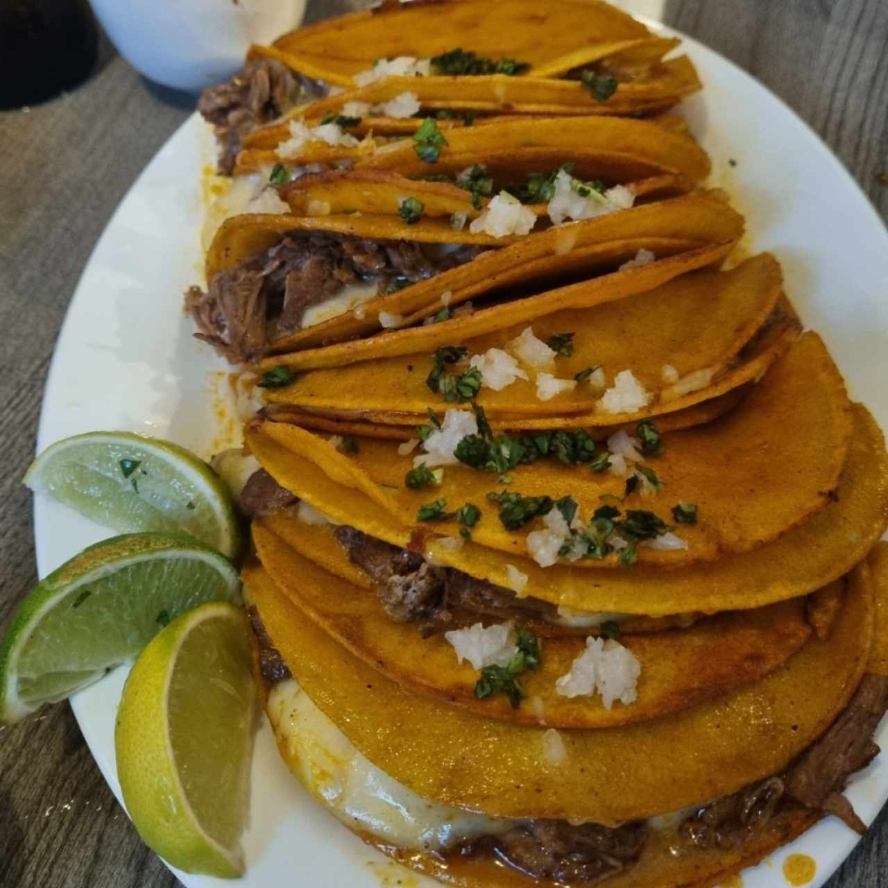 QUESATACOS 6