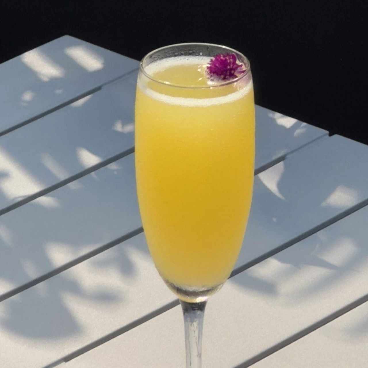 Mimosa