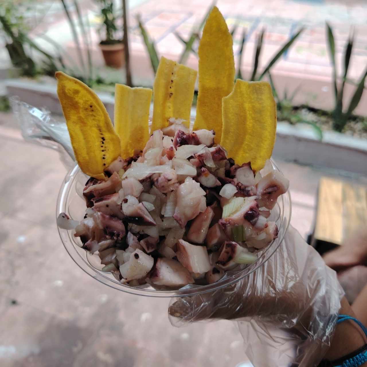 Ceviche de Pulpo 