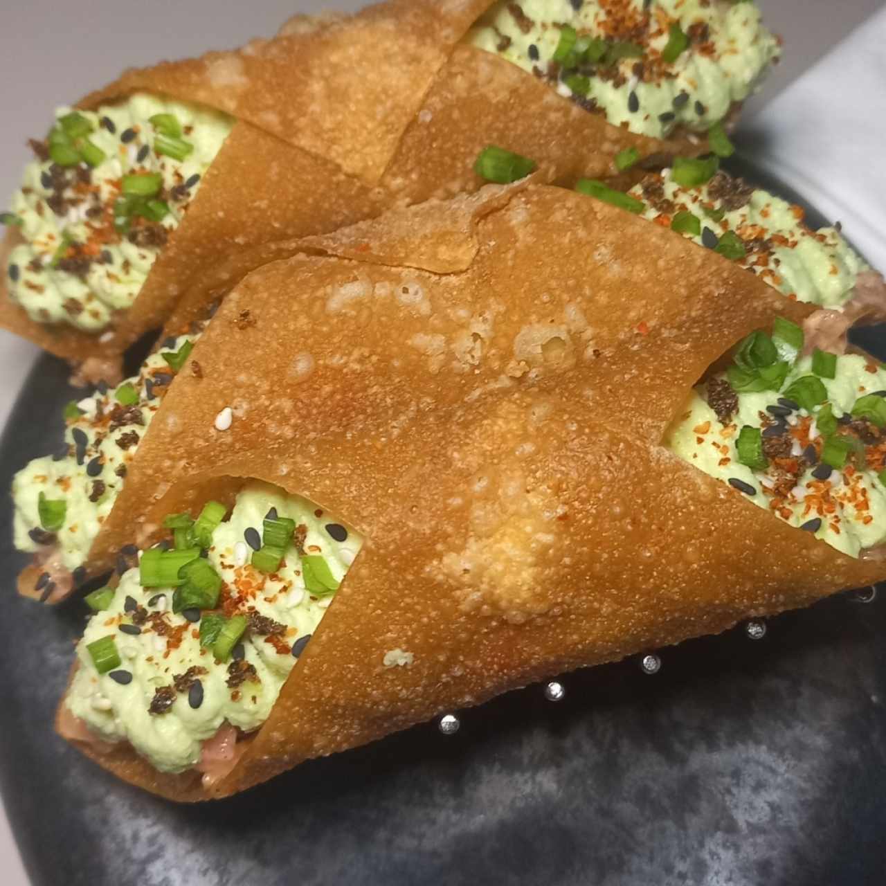 tuna cannolis