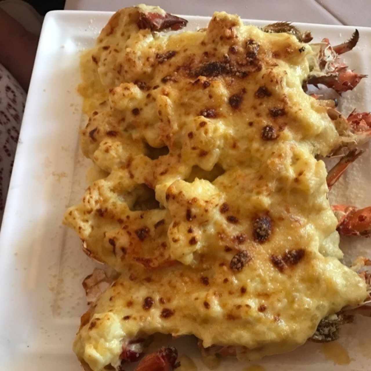 Langostas al gratin