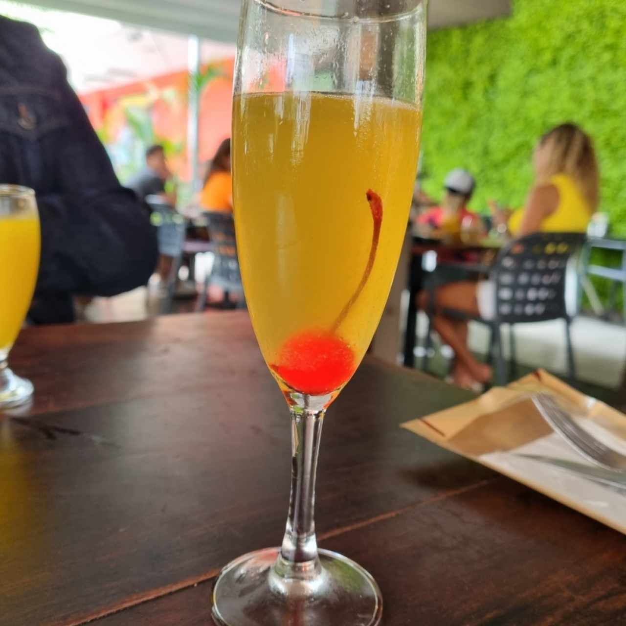 mimosa