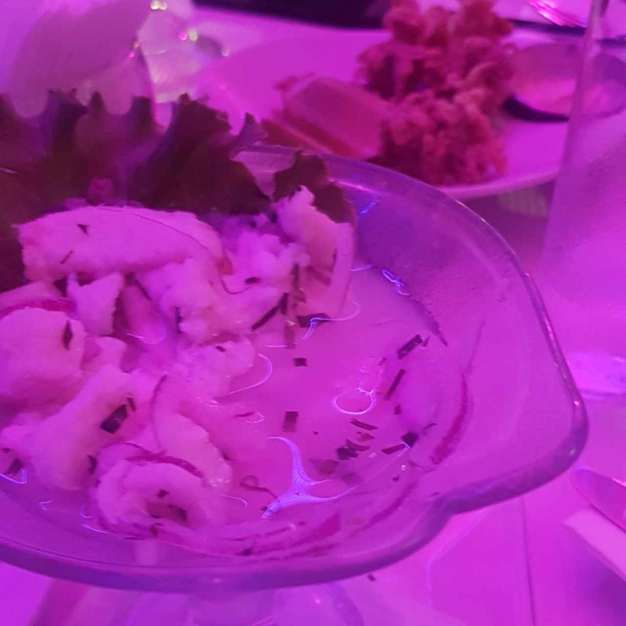 ceviche y arañitas