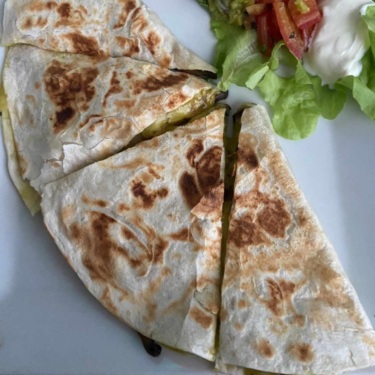 Quesadillas de Hongos y Pollo