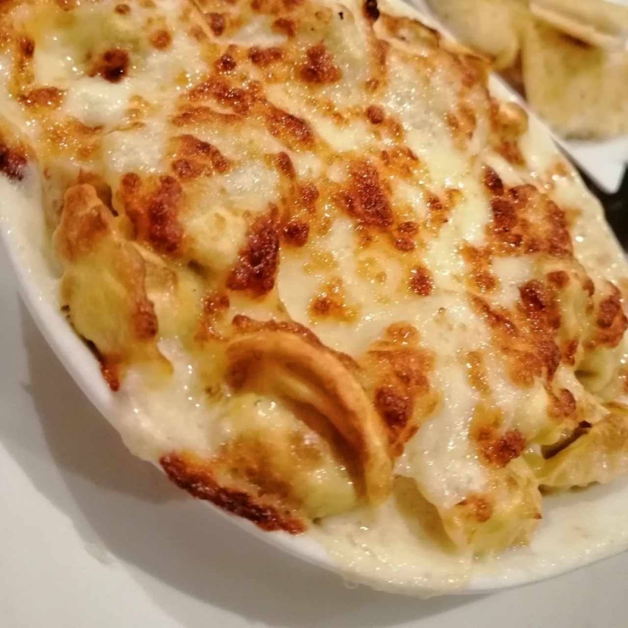 Mixto de Pasta Gratinada