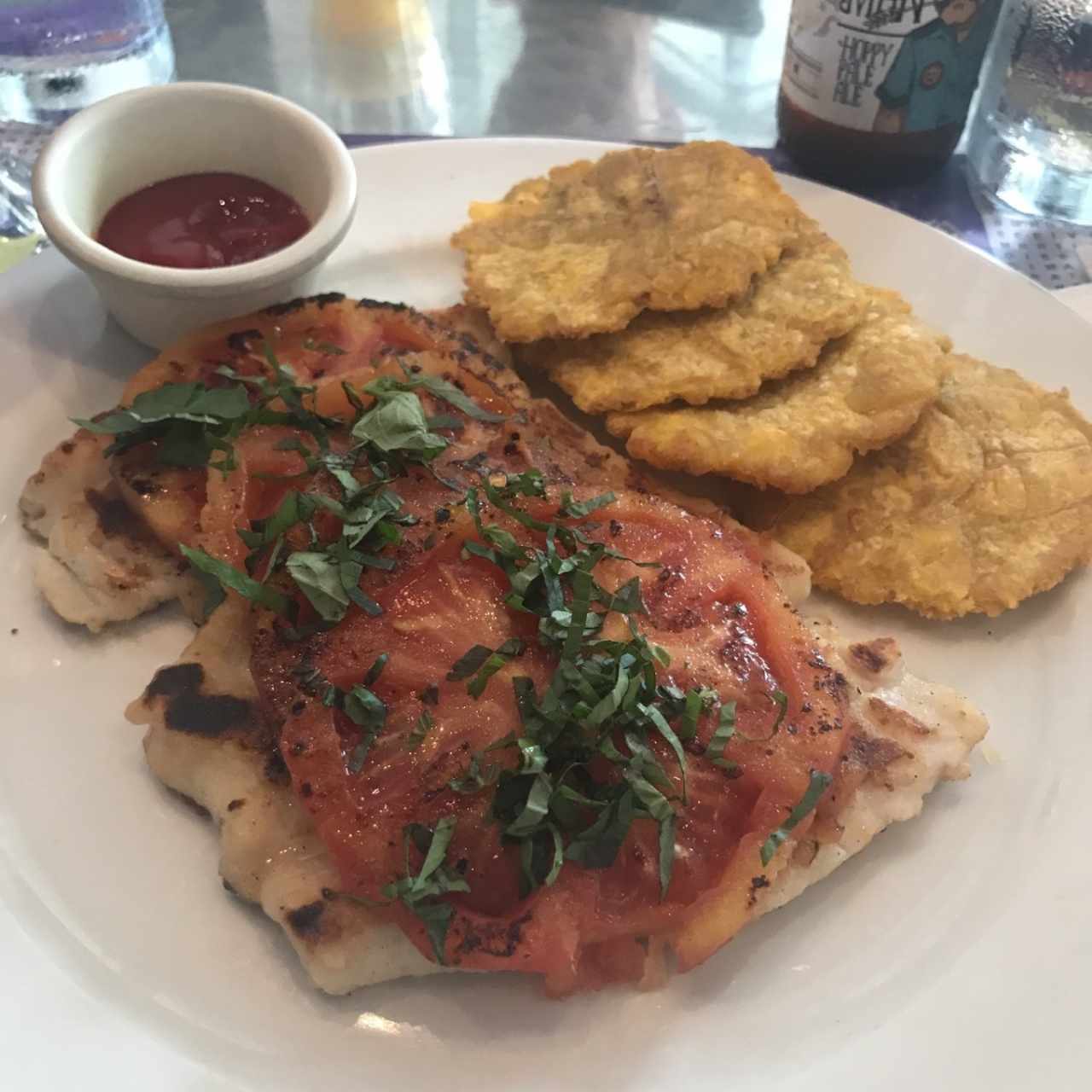 Corvina con tomate albahaca fresca y aceite de oliva