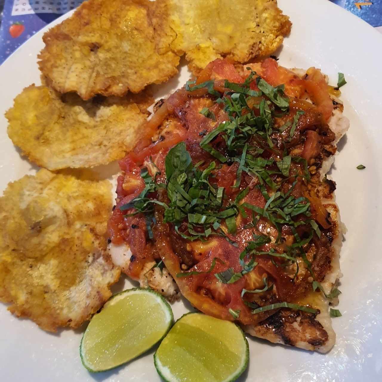 Corvina con tomate albahaca fresca y aceite de oliva