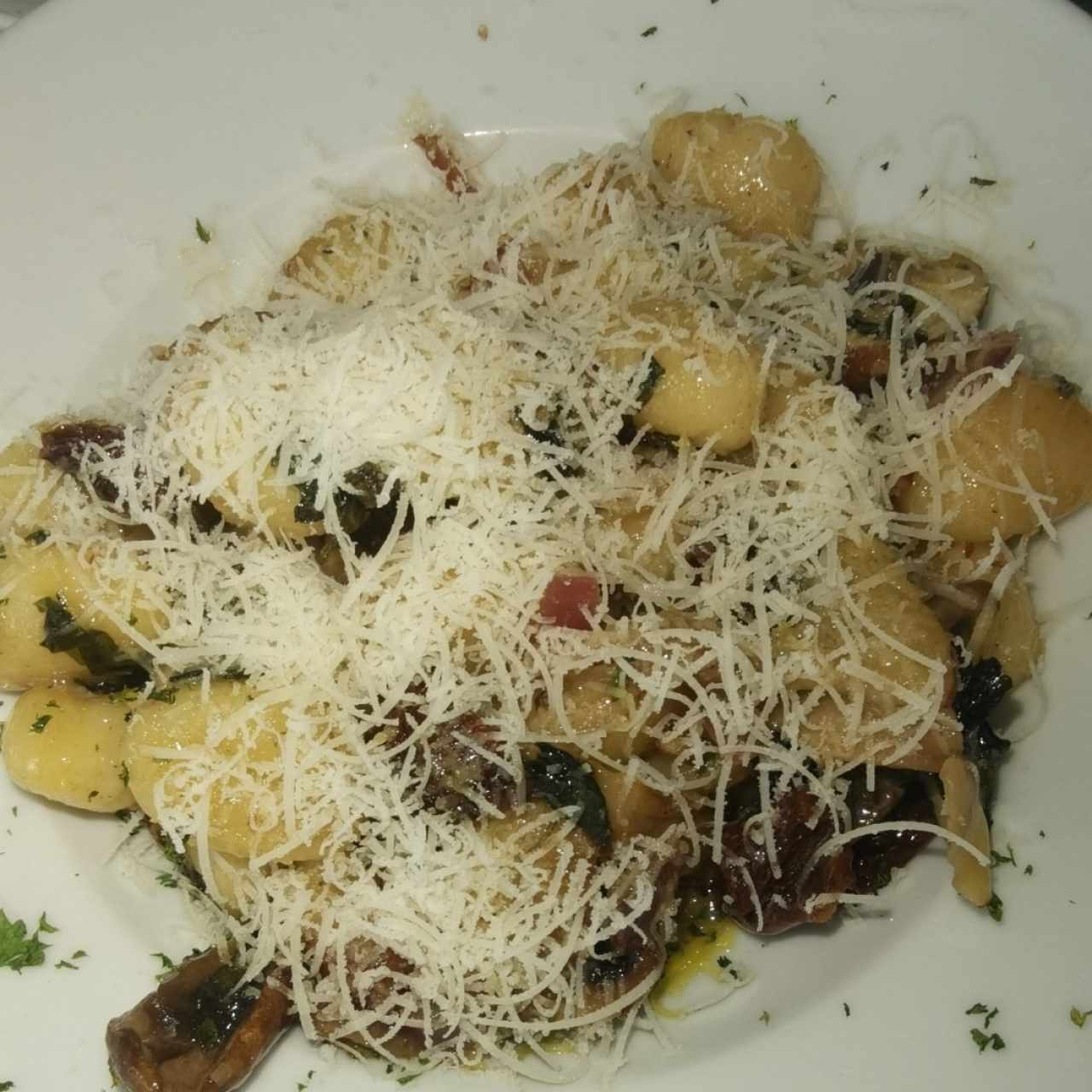 Pastas - Gnocchi Portobello