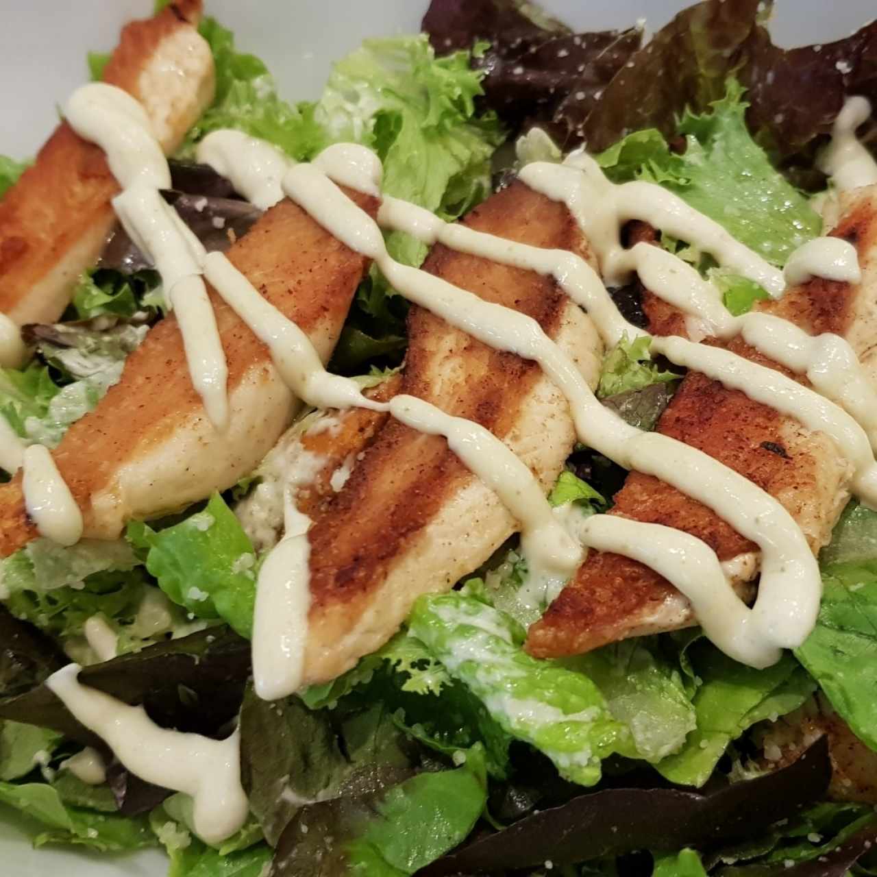 Caesar Salad con pollo