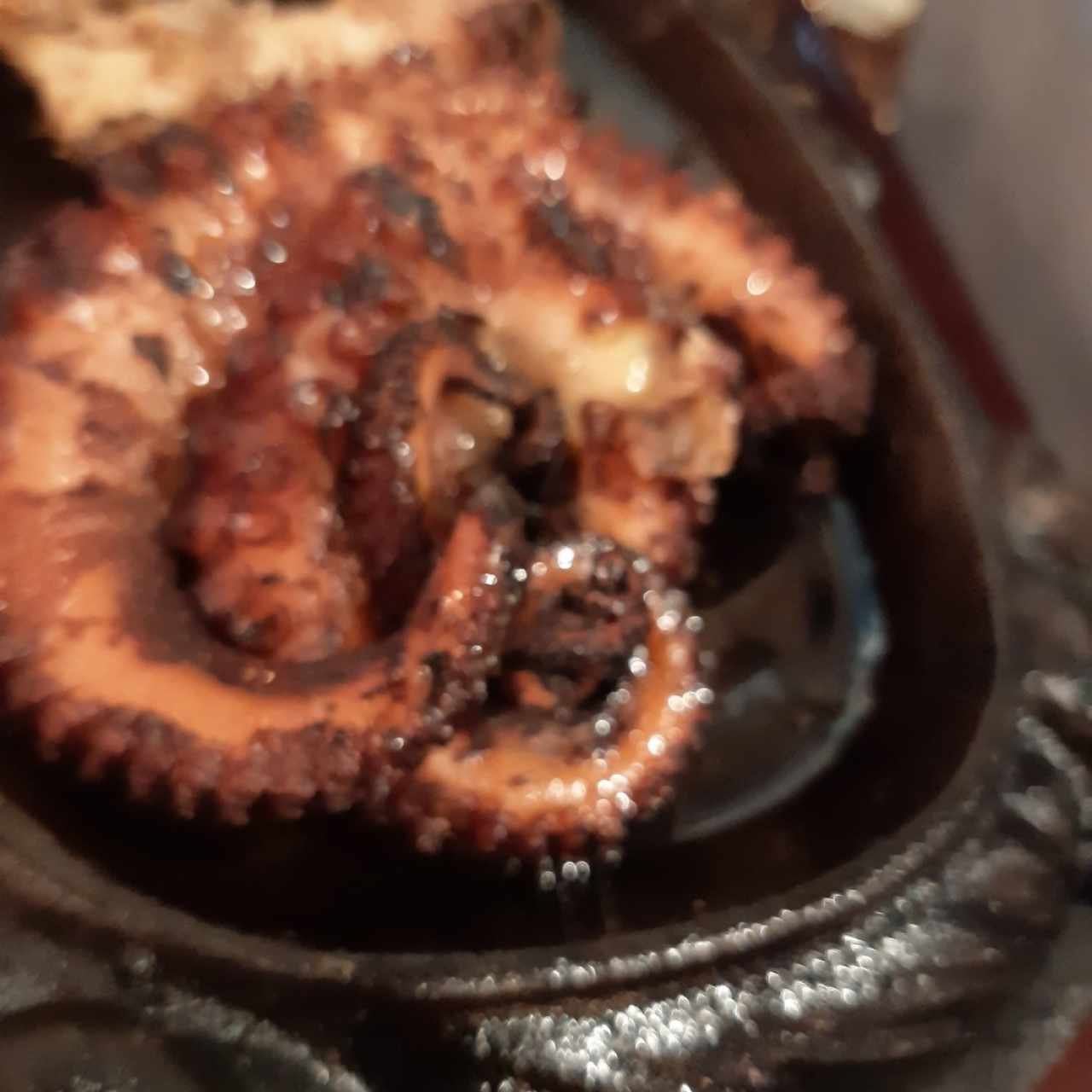 Pulpo al Carbón, al Ajillo, al Vino