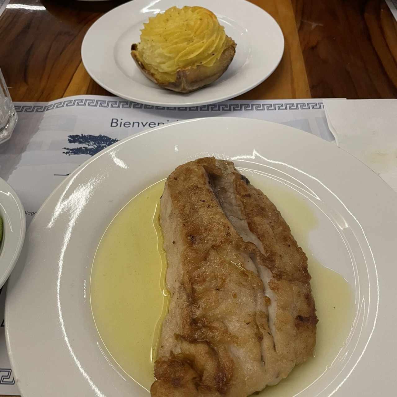 Corvina Jimmy
