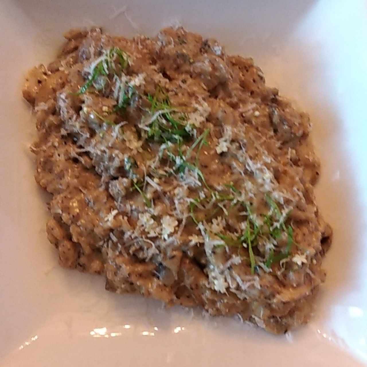 Risotto de Hongos trufados 