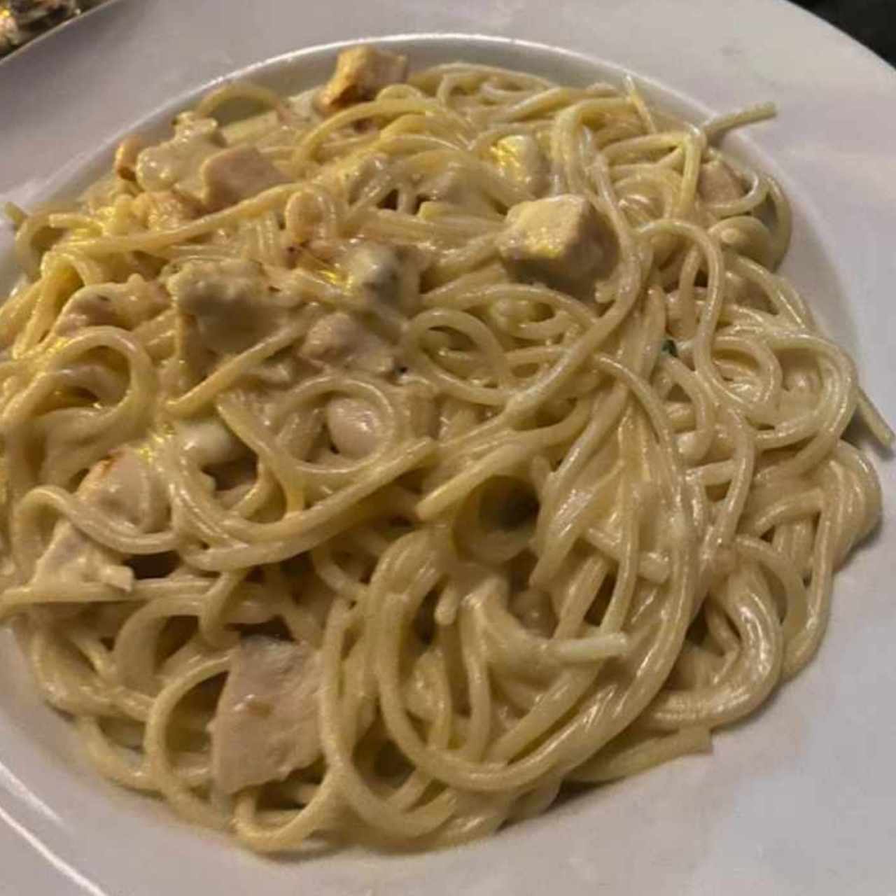 Pasta con Pollo en salsa 4 Quesos