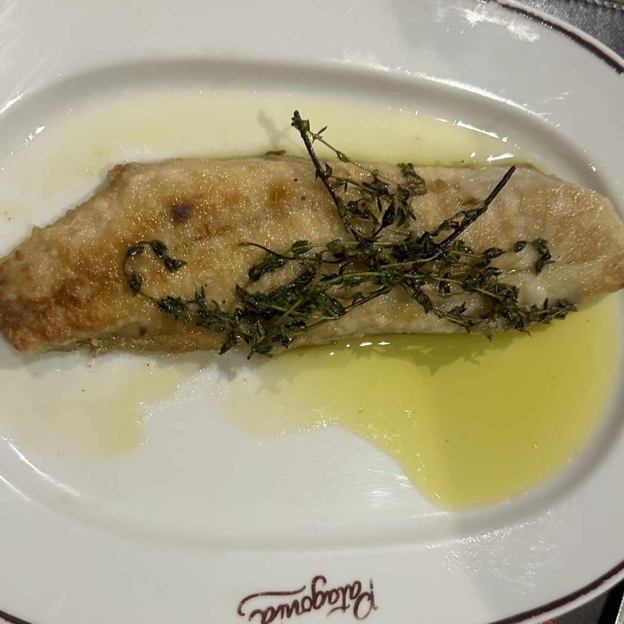 Corvina con Oliva y Tomillo