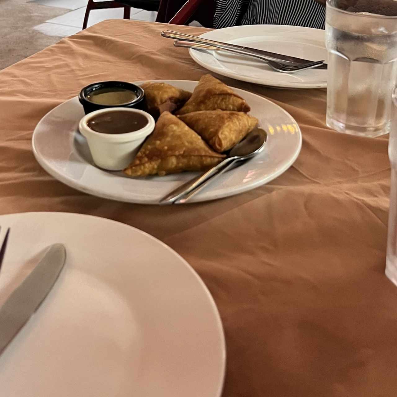 Meat Appetizers - Samosas de Pollo