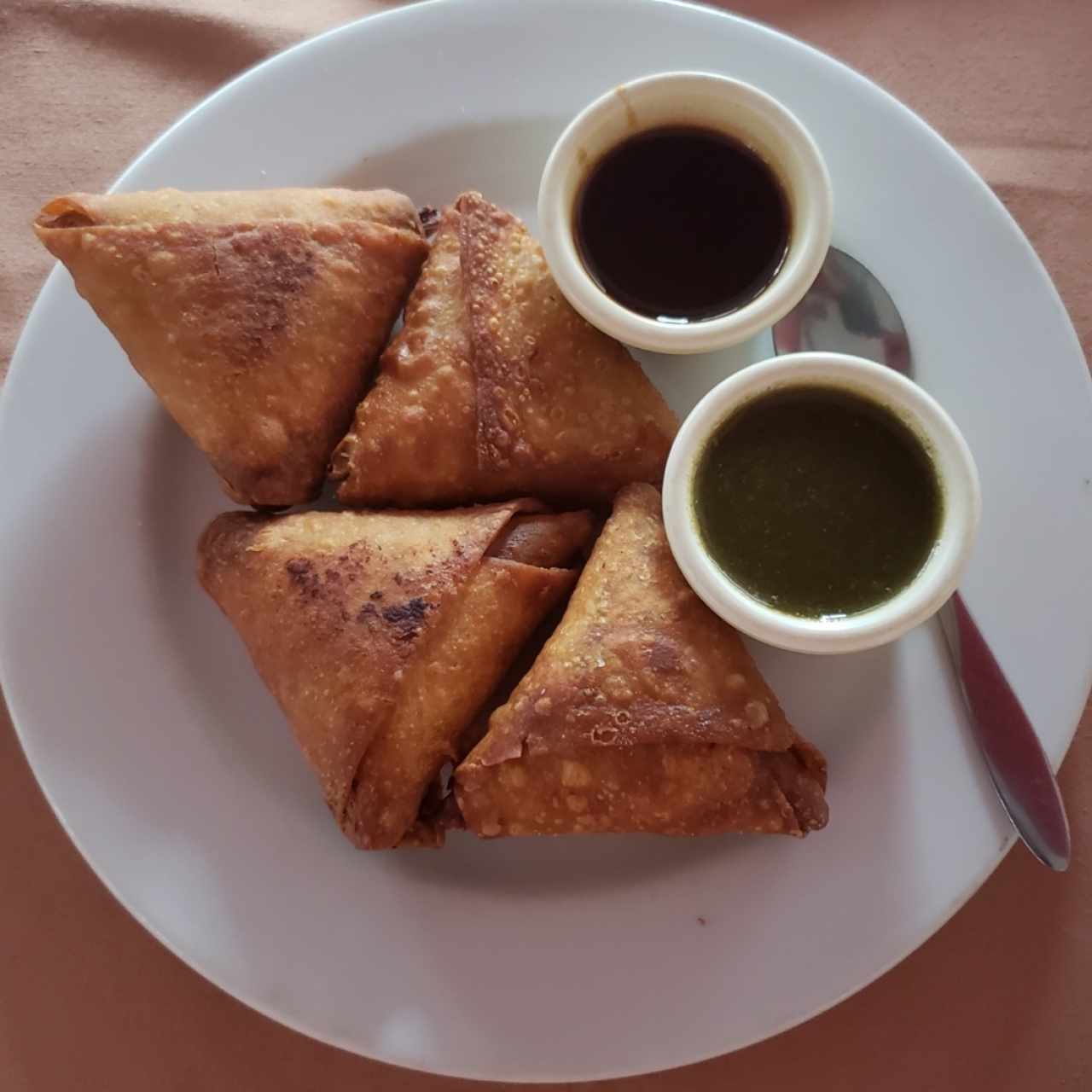 samosas de pollo