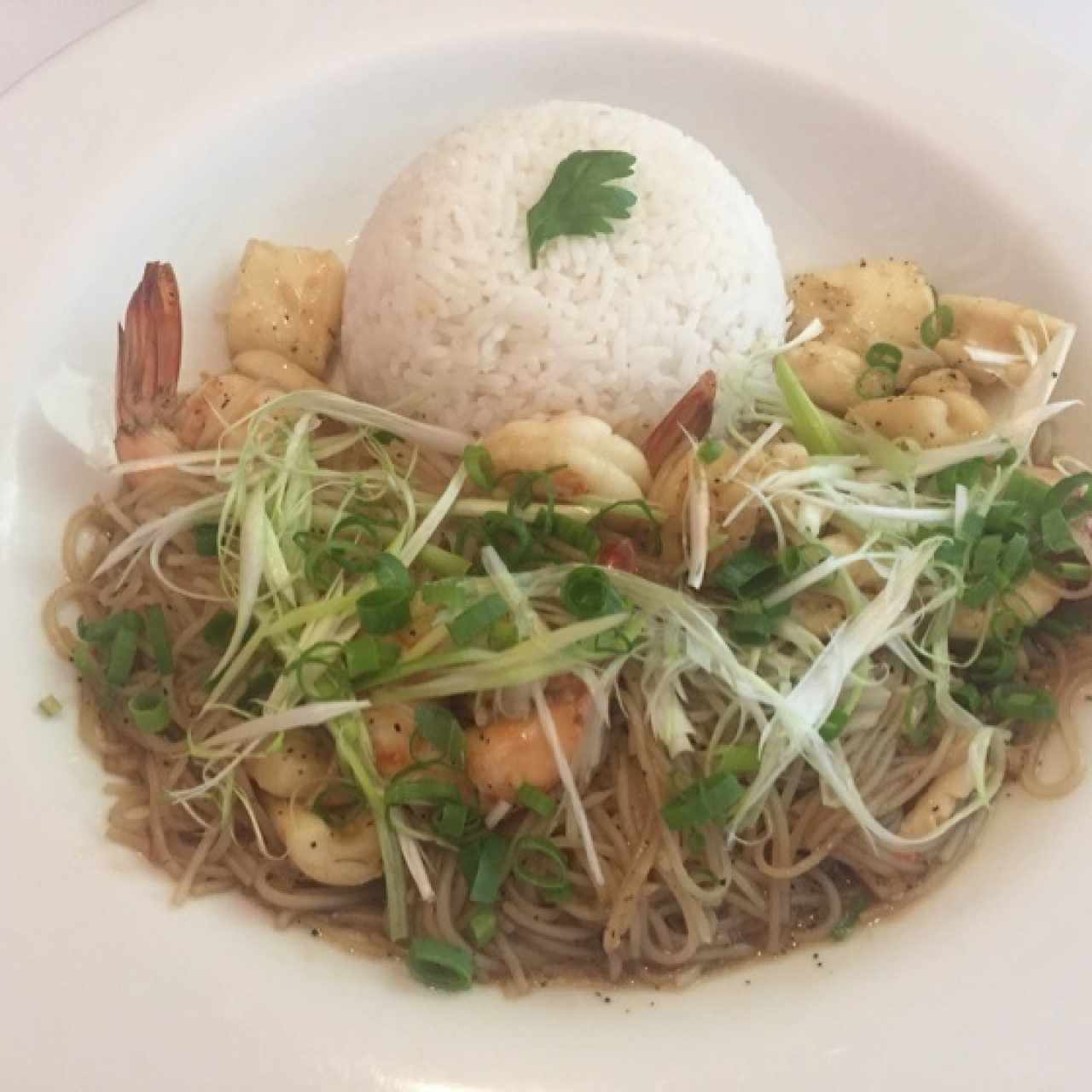 Thai seafood & Ginger Noodles