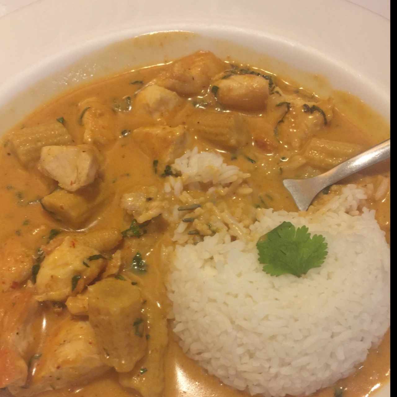 Red Curry de pollo con arroz de jazmín