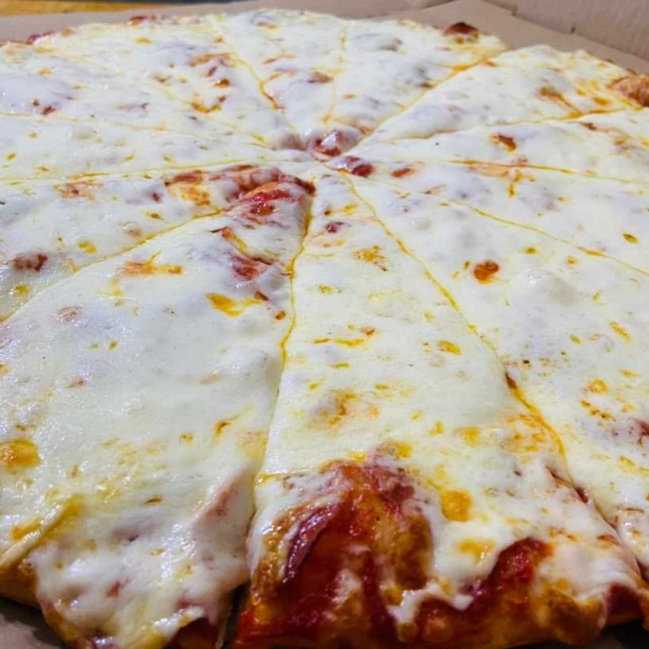 Pizzas - Pizza mozzarella