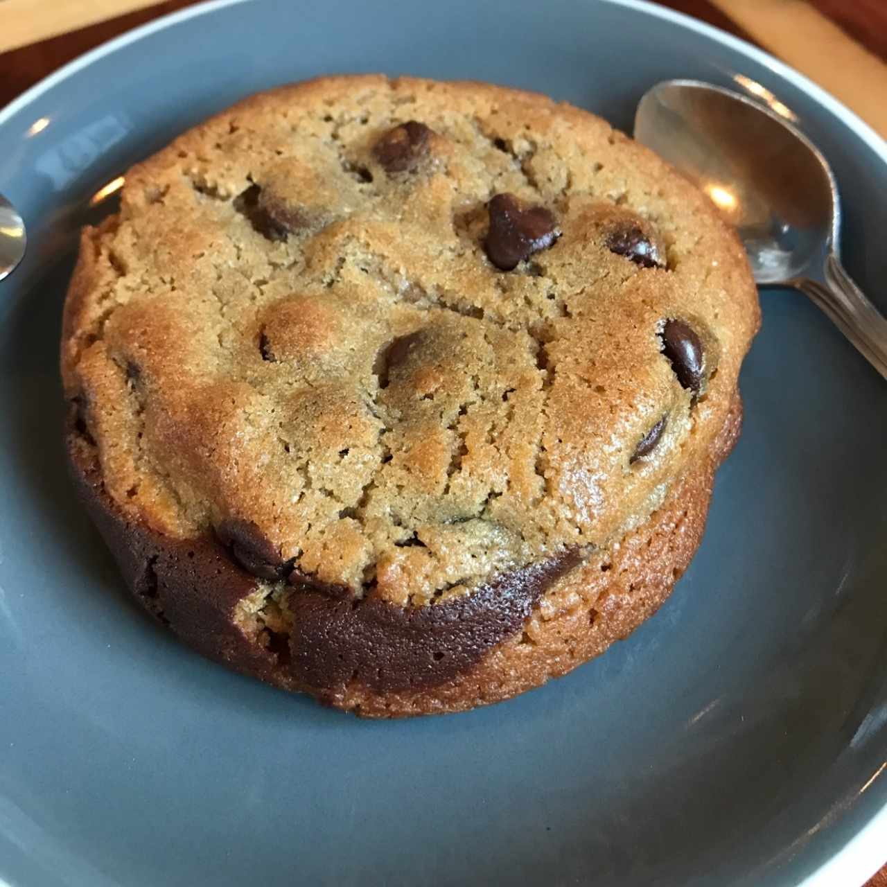 chocolate chip cookie 